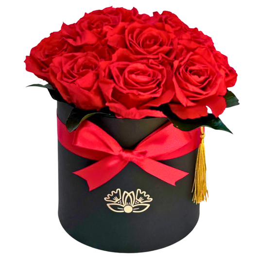 Rosa Roja Eterna - Edición Negra