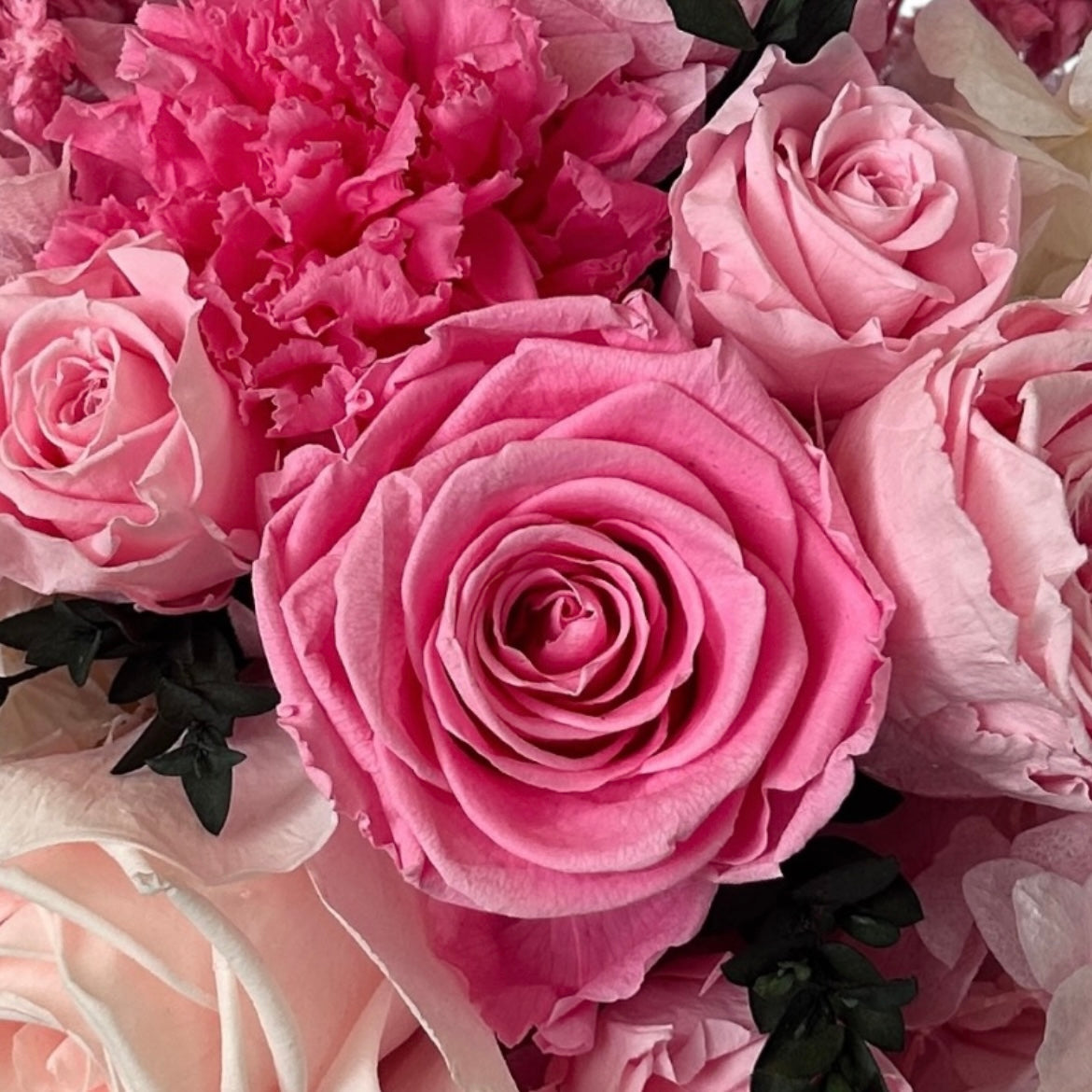 Pink Blush - Edición Blanca