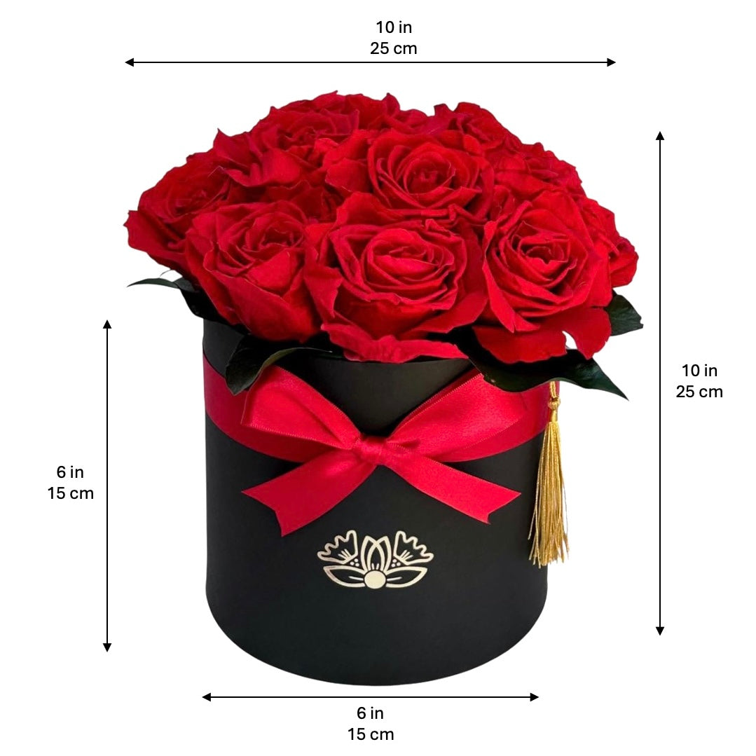 Rosa Roja Eterna - Edición Negra